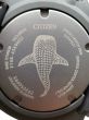 CITIZEN Promaster Titanium ECO-Drive Diver BN0225-04L Whale Shark Limited Edition